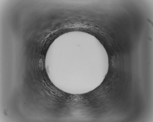 X0000100321493200806261214