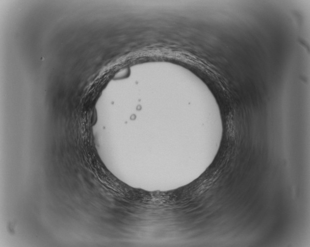 X0000100321494200806261214