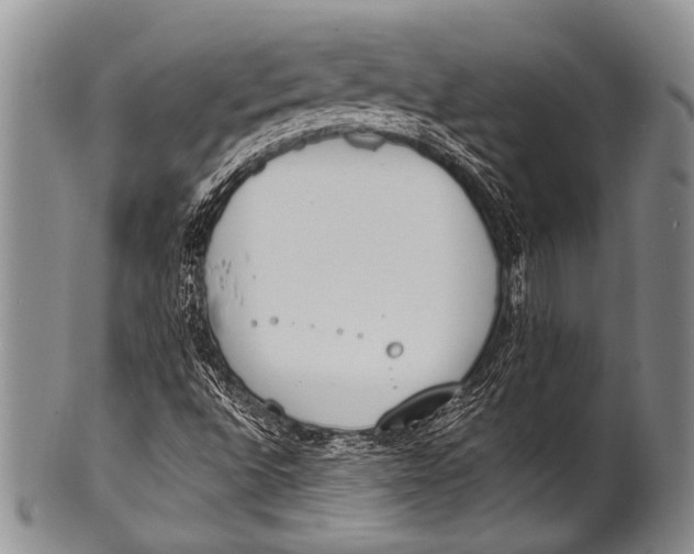 X0000100321496200806261214