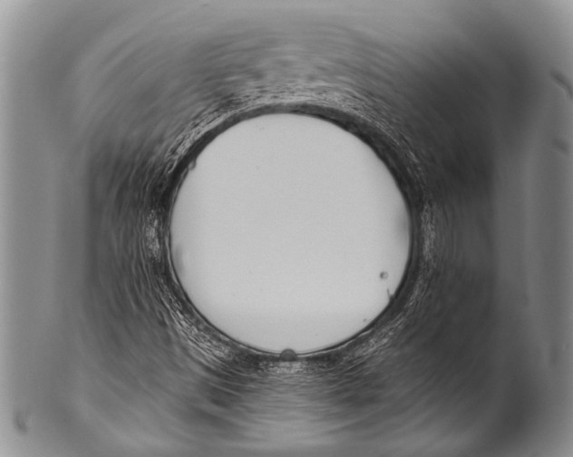 X0000100321497200806261214