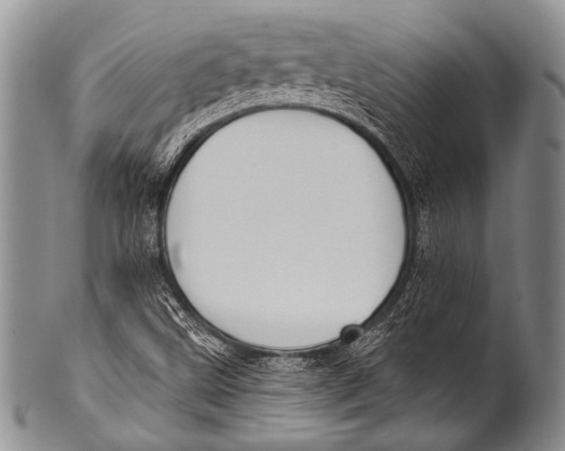 X0000100321499200806261214