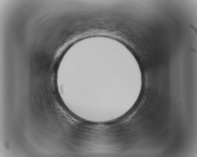 X0000100321502200806261214