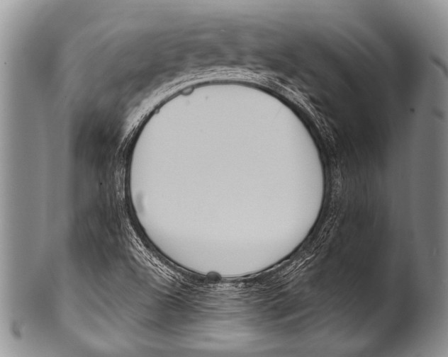 X0000100321504200806261214