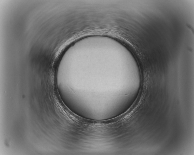 X0000100321506200806261214