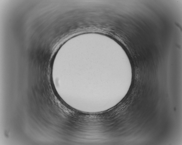 X0000100321508200806261214