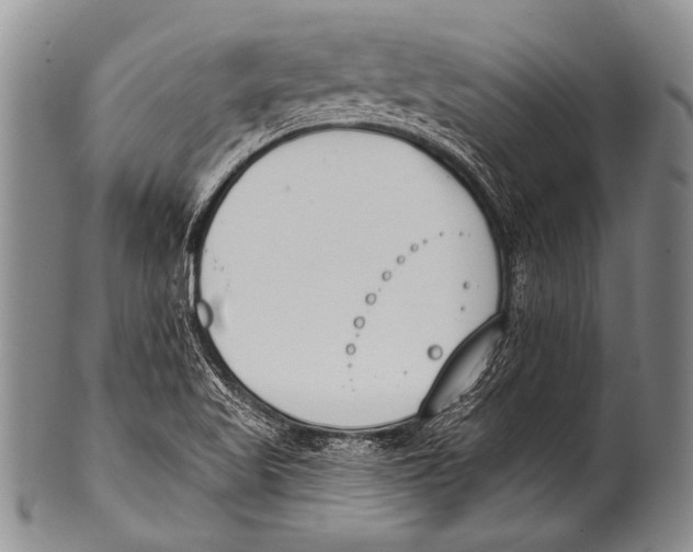 X0000100321509200806261214