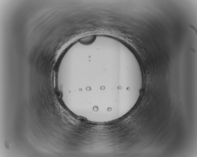 X0000100321510200806261214