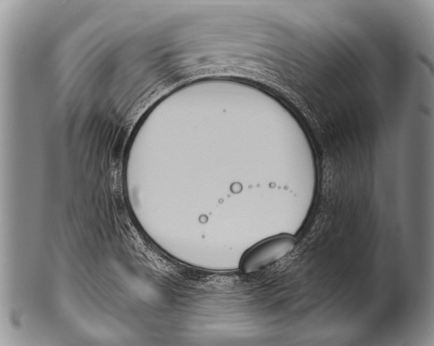 X0000100321513200806261214