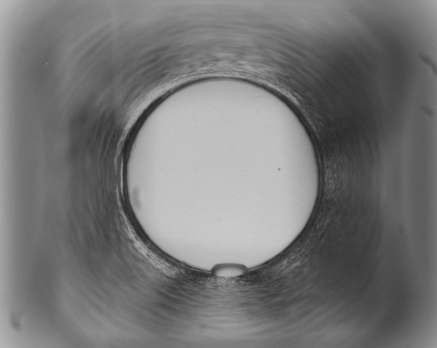 X0000100321515200806261214