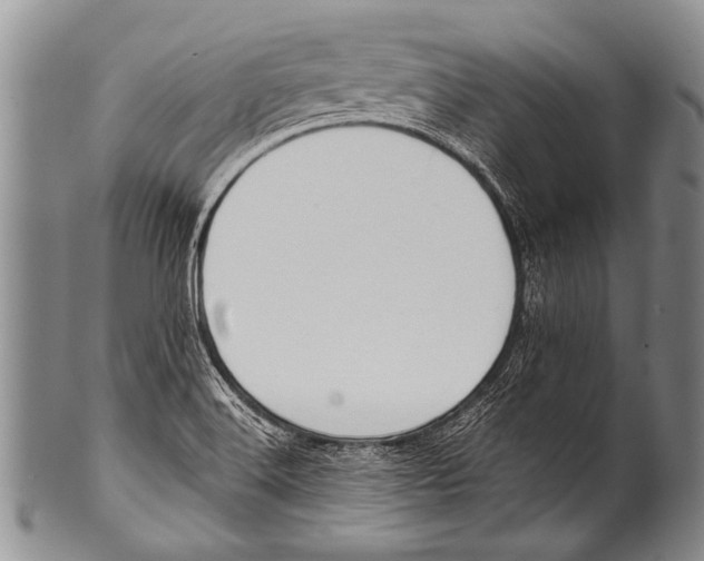 X0000100321516200806261214