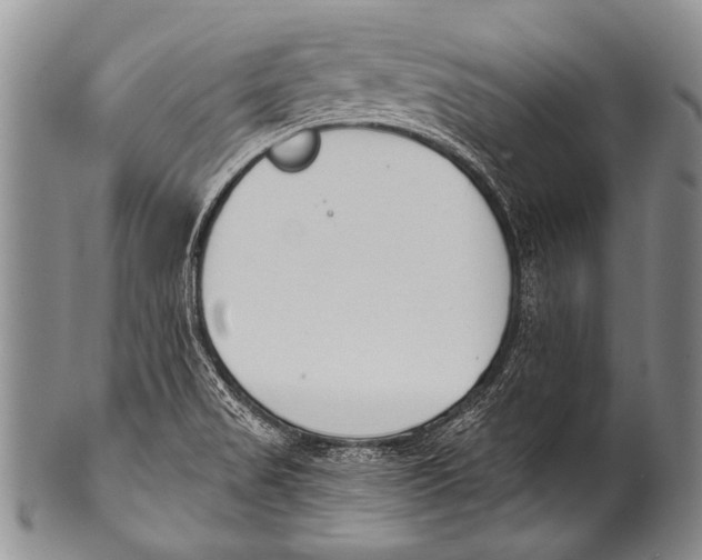 X0000100321517200806261214