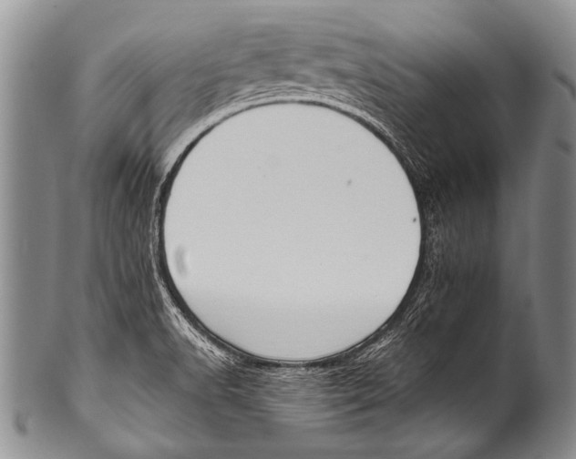 X0000100321518200806261214