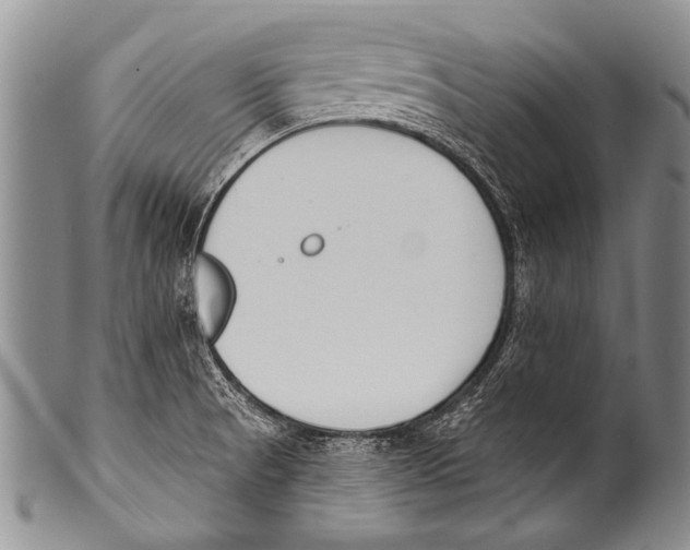 X0000100321521200806261214