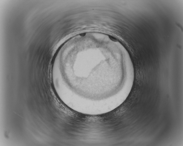 X0000100321522200806261214