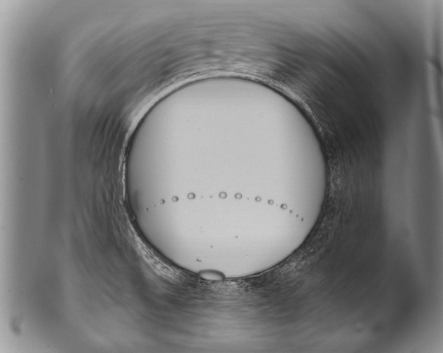 X0000100321524200806261214