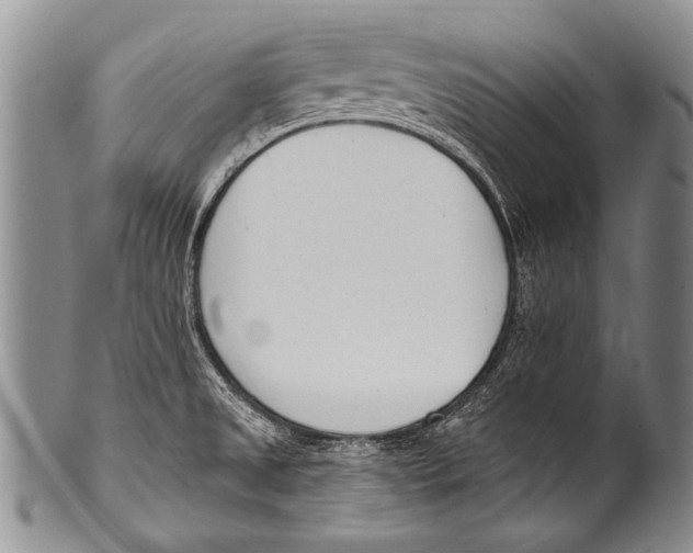 X0000100321525200806261214