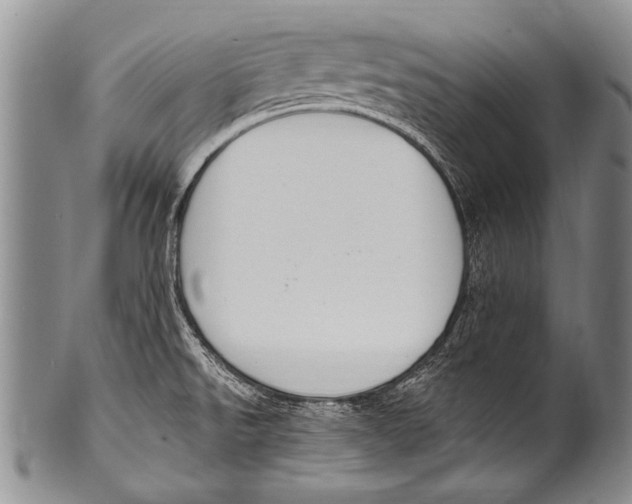 X0000100321526200806261214