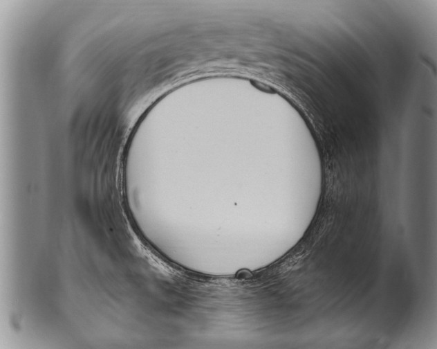 X0000100321527200806261214