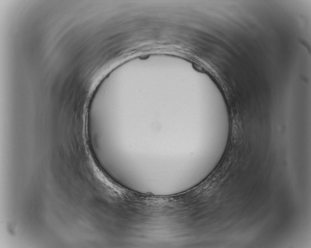 X0000100321528200806261214