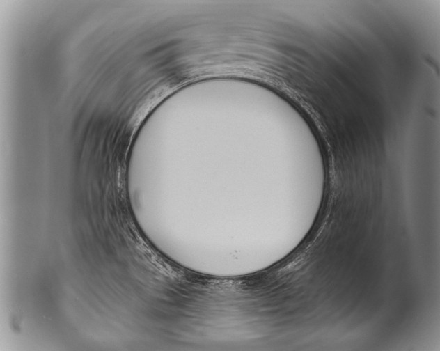 X0000100321529200806261214