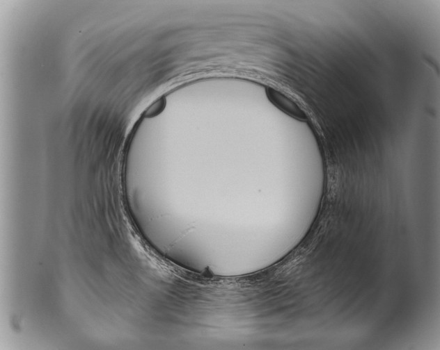 X0000100321530200806261214