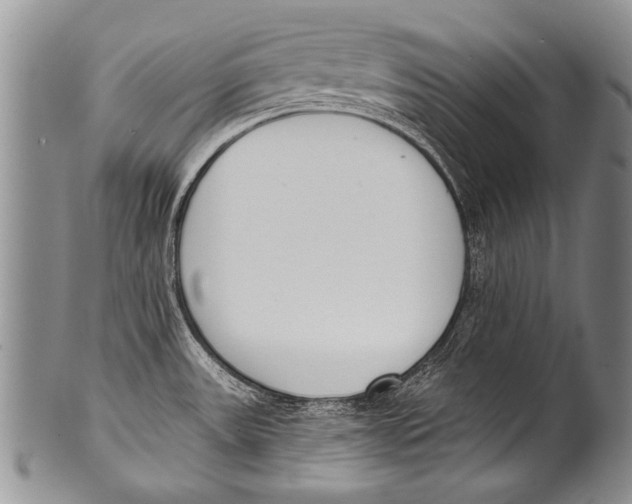 X0000100321531200806261214