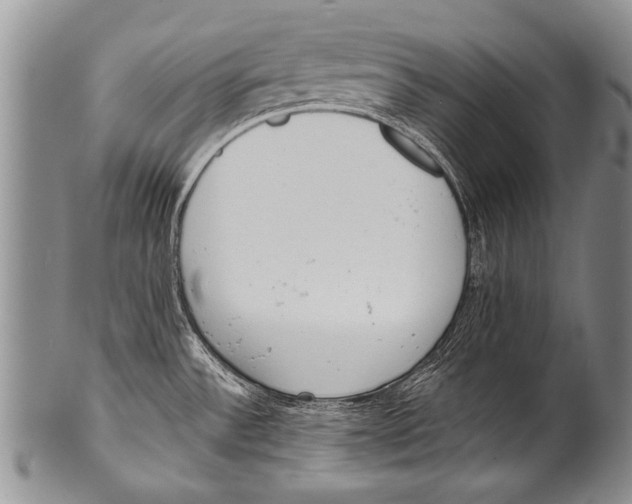 X0000100321532200806261214