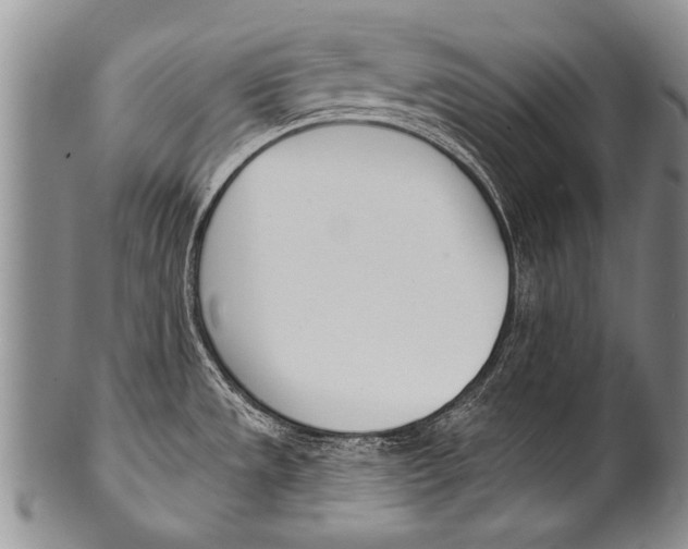 X0000100321533200806261214