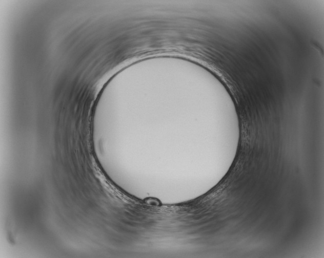 X0000100321534200806261214