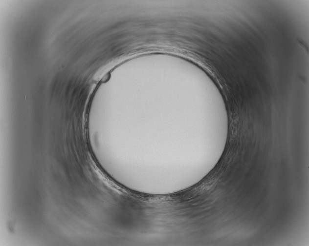 X0000100321535200806261214