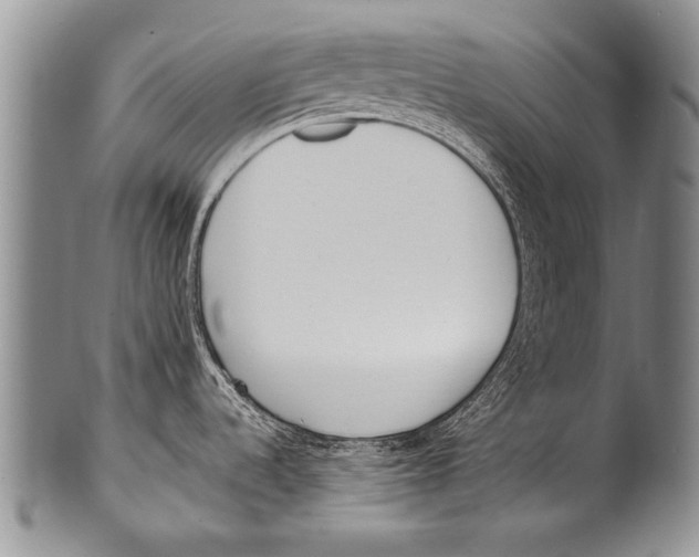 X0000100321536200806261214