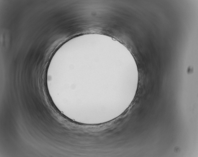 X0000100320001200807031222