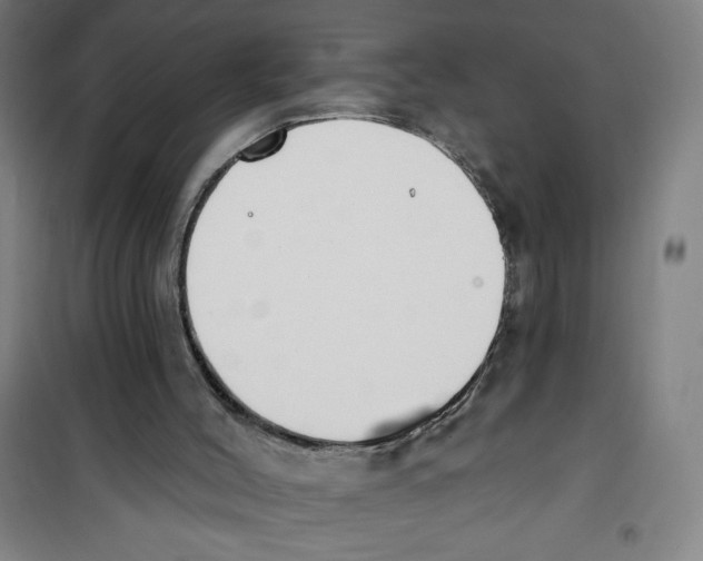 X0000100320004200807031222