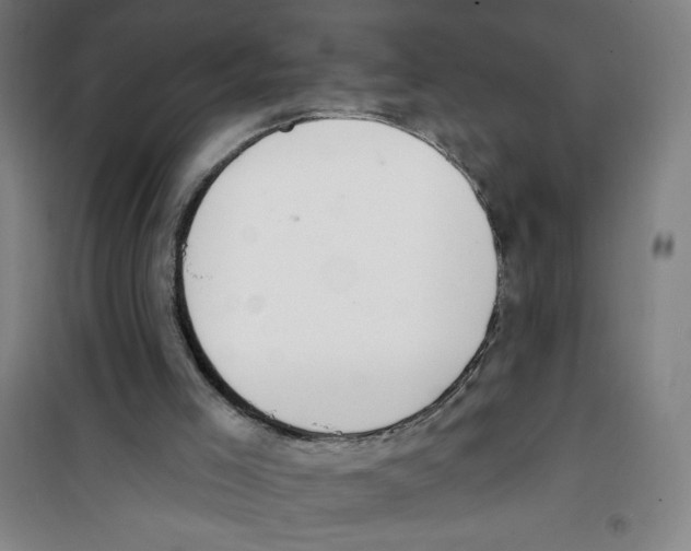 X0000100320005200807031222