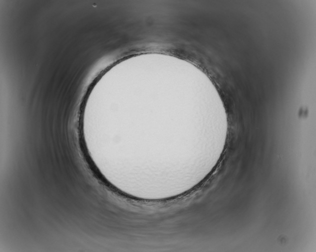 X0000100320006200807031222