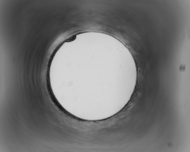 X0000100320007200807031222