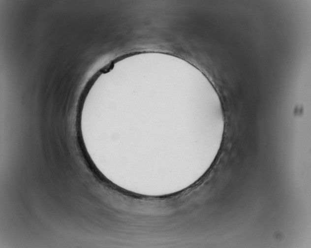 X0000100320008200807031222