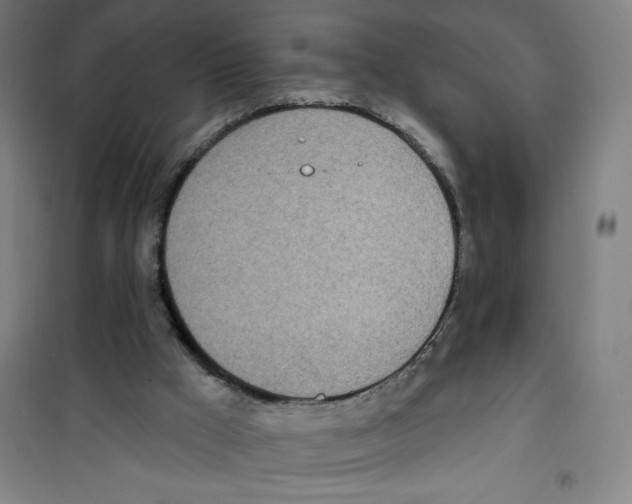 X0000100320009200807031222