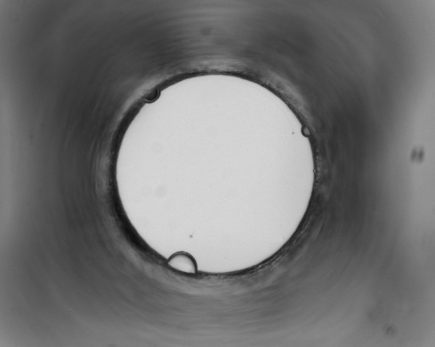 X0000100320012200807031221