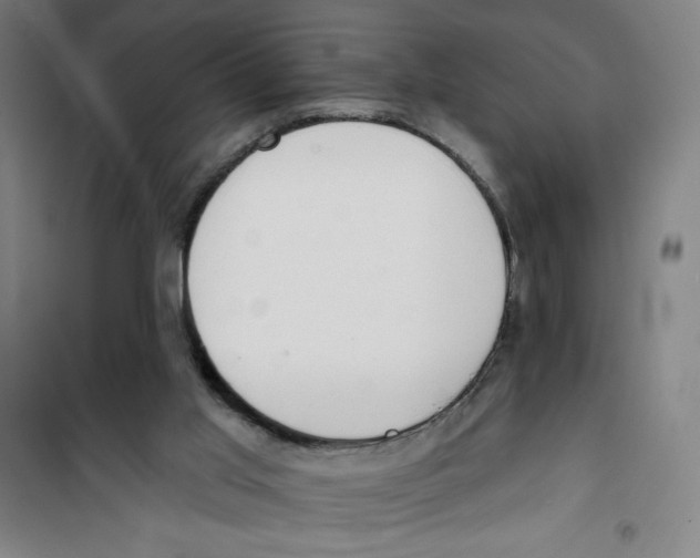 X0000100320013200807031221