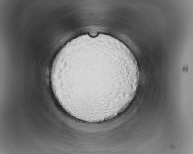 X0000100320014200807031221