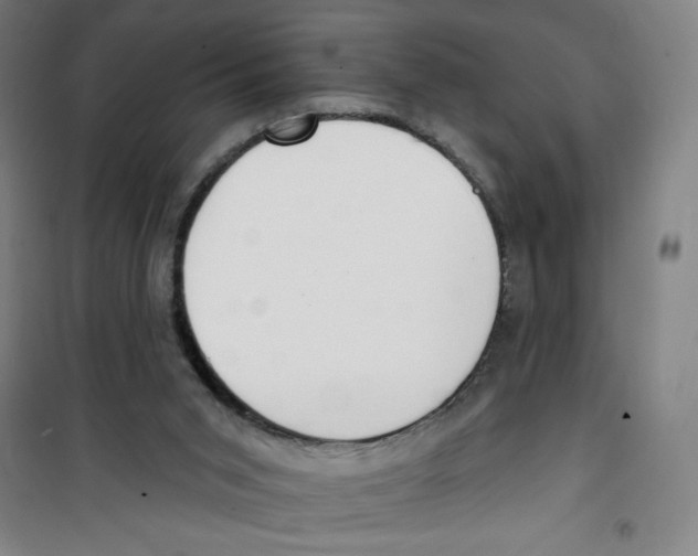 X0000100320015200807031221