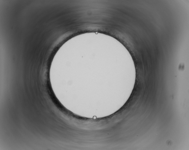 X0000100320016200807031221