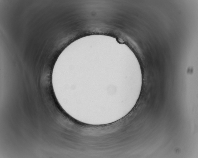 X0000100320017200807031221