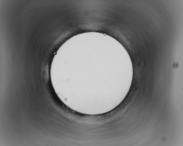 X0000100320020200807031221