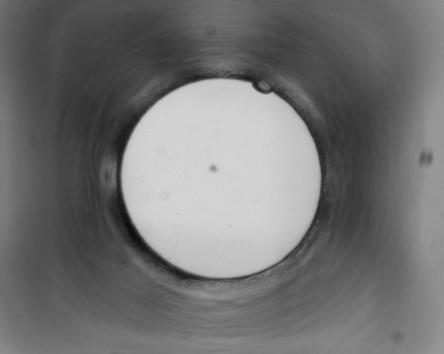 X0000100320021200807031221