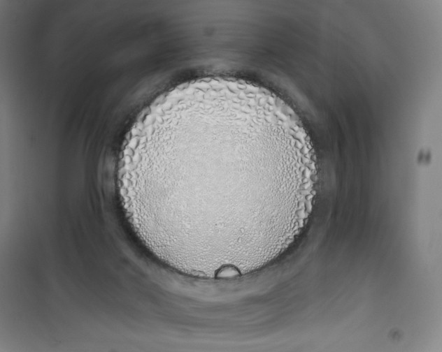 X0000100320022200807031221