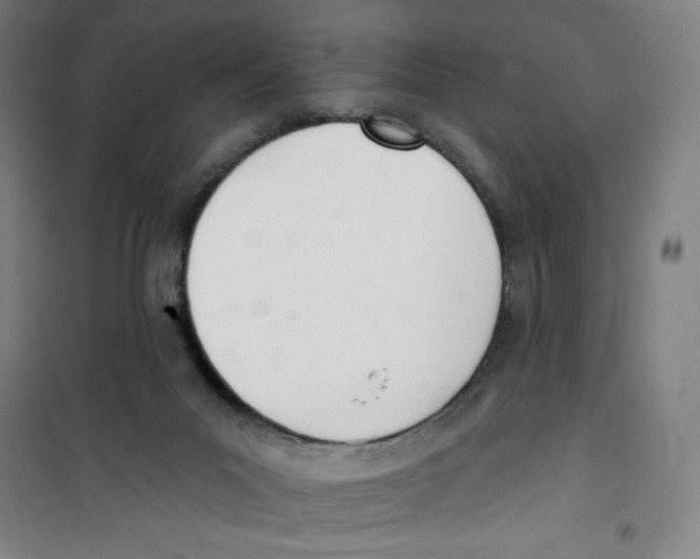 X0000100320023200807031221