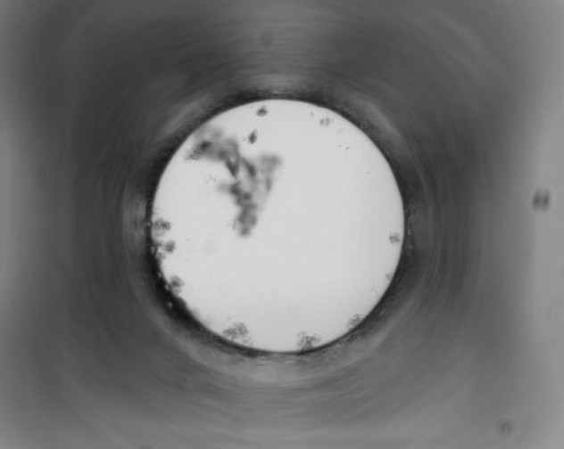 X0000100320024200807031221