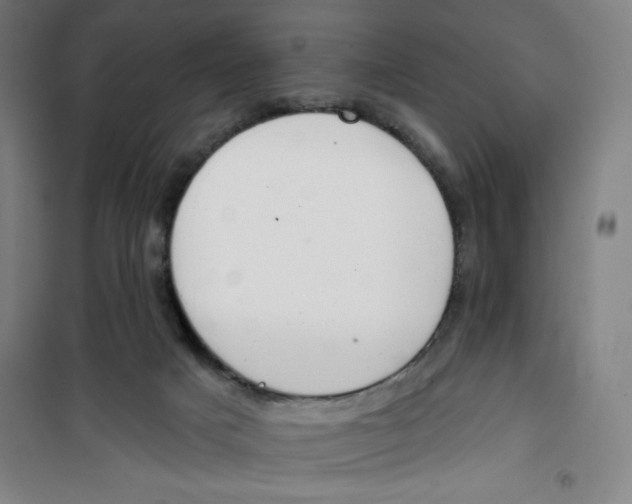 X0000100320025200807031221